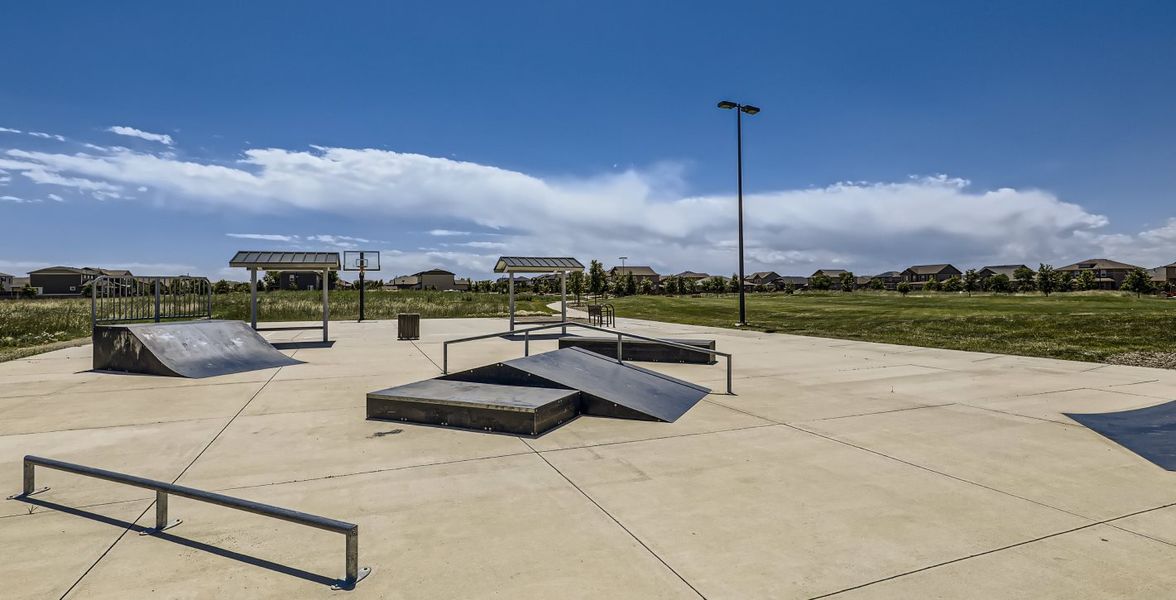 Traditions Park skate park