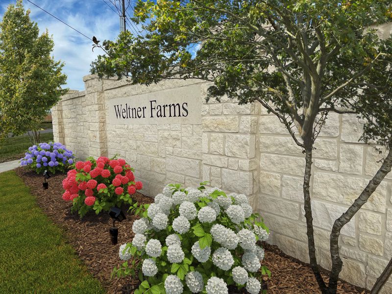 Entrance to the Weltner Farms community in New Braunfels, TX, featuring signage and landscaping (Image 2).