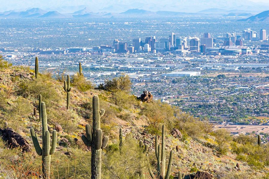 Near South Mountain Park and Preserve