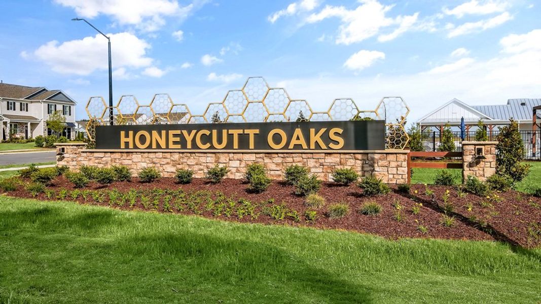 Image 37 of the Honeycutt Oaks community in Angier, NC.