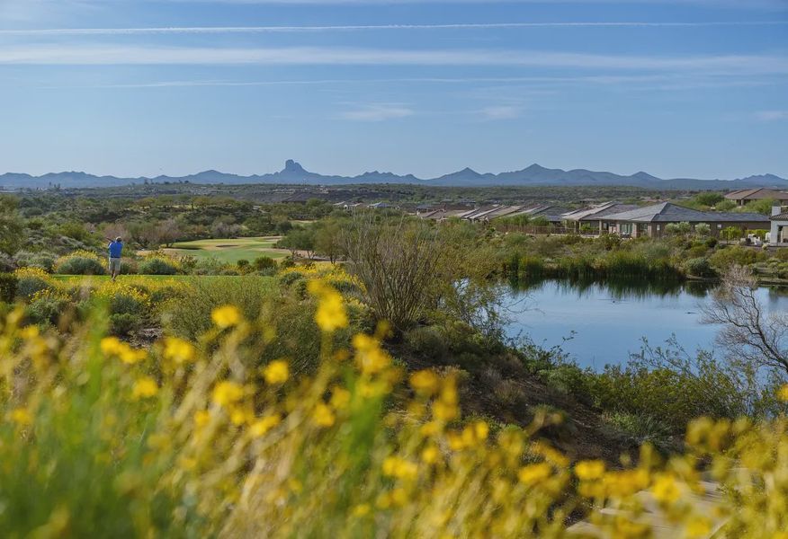 Golf Wickenburg Ranch - 2 of 25 Golf Wickenburg Ranch - 2 of 25