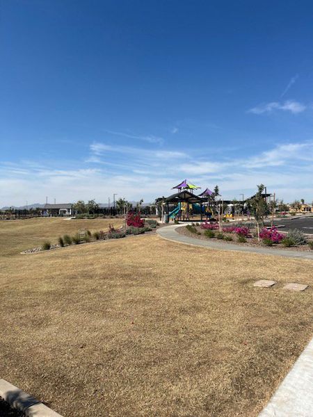 Beautiful community park with vibrant landscaping and a playground in Avion: Arbor by Lennar (Goodyear, AZ).