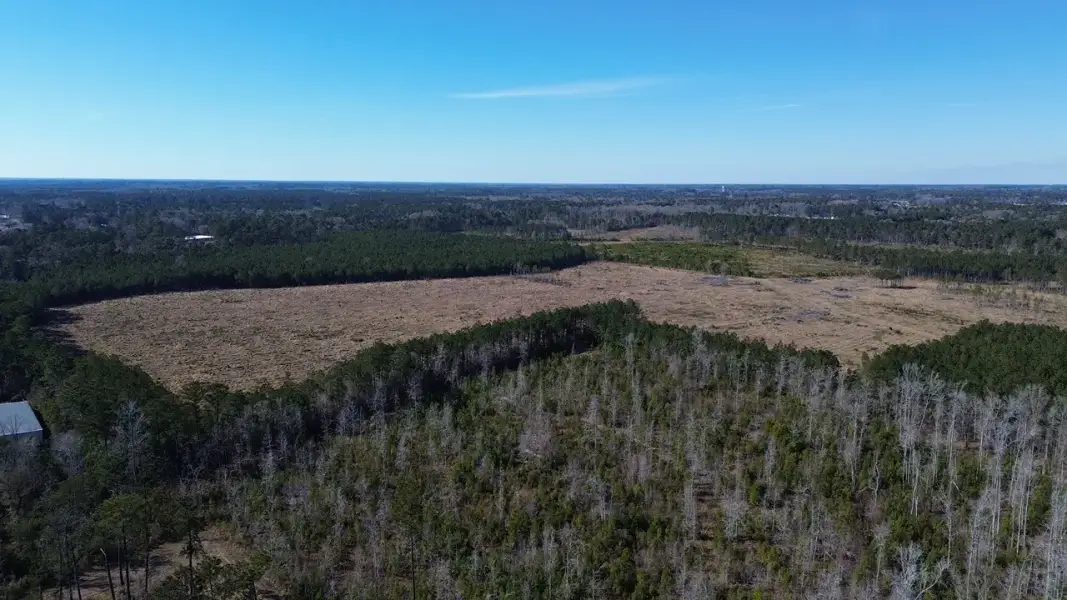 Natural surroundings and green spaces near Kingston Preserve at Brookhaven in Conway, SC (Image 17).