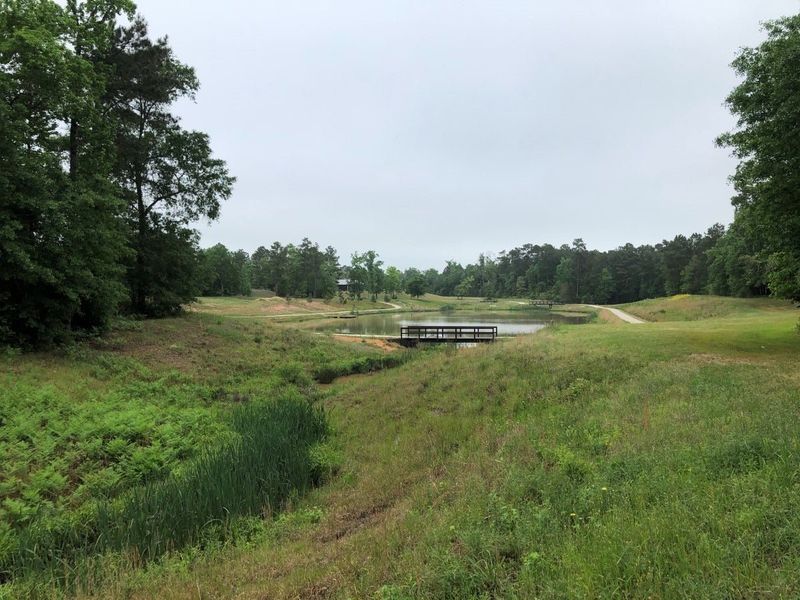 Natural surroundings and green spaces near High Meadow West and Estates in Montgomery, TX (Image 18).