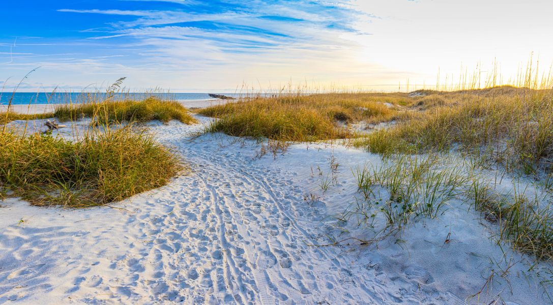 Natural surroundings and green spaces near Sandy Bluff in Yulee, FL (Image 52).