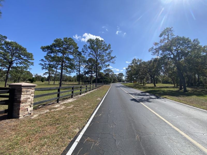 Natural surroundings and green spaces near Pine Ridge in Beverly Hills, FL (Image 44).