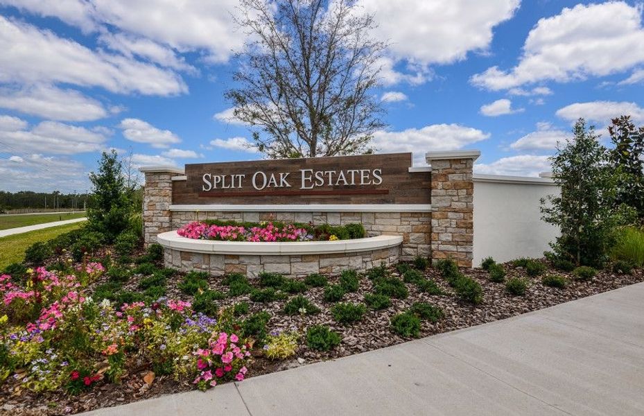 Image 22 of the Split Oak Estates community in St. Cloud, FL.