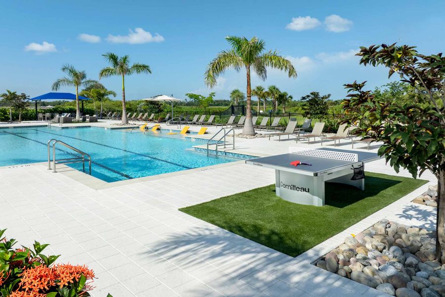Community amenity available to residents of Vistera of Venice – Cottage Series in Nokomis (Image 23). Community amenity available to residents of Vistera of Venice – Cottage Series in Nokomis (Image 23).