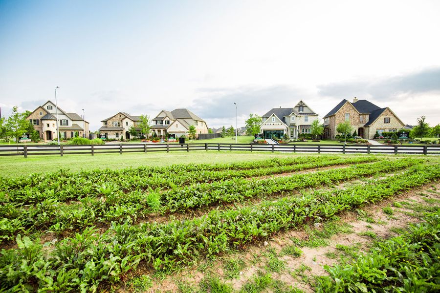 Community amenity available to residents of Harvest Green 65' in Richmond (Image 2). Community amenity available to residents of Harvest Green 65' in Richmond (Image 2).