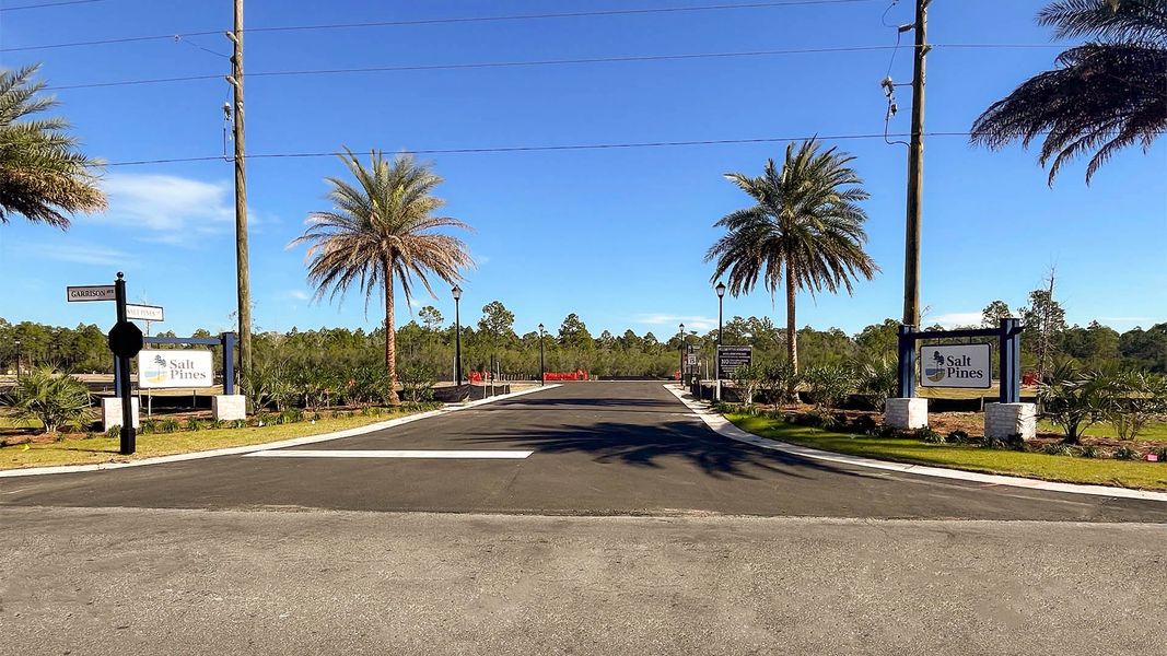 Image 6 of the Salt Pines community in Port Saint Joe, FL.