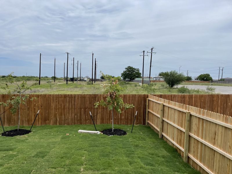 A freshly landscaped backyard with young trees and a wooden fence in Royal Crest by Meritage Homes (San Antonio, TX). A freshly landscaped backyard with young trees and a wooden fence in Royal Crest by Meritage Homes (San Antonio, TX).