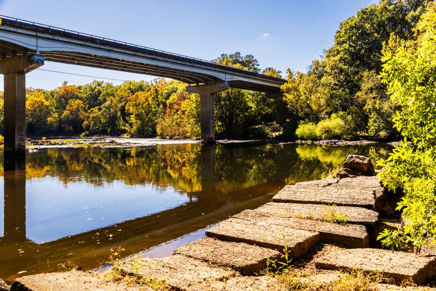 Cape Fear River - Lillington, NC