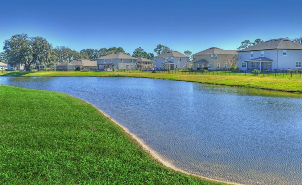 Natural surroundings and green spaces near Tidewater in Jacksonville, FL (Image 57). Natural surroundings and green spaces near Tidewater in Jacksonville, FL (Image 57).