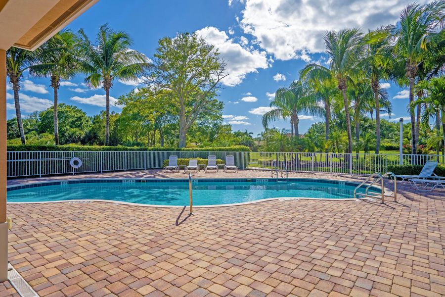 Neighborhood Pool | The Falls at Grand Harbor:Neighborhood Pool | The Falls at Grand Harbor Neighborhood Pool | The Falls at Grand Harbor:Neighborhood Pool | The Falls at Grand Harbor