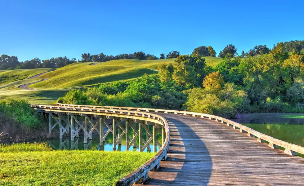 Natural surroundings and green spaces near Home & Homesite Packages in Ocala, FL (Image 17).