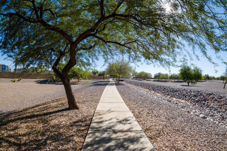 Natural surroundings and green spaces near McCartney Center in Casa Grande, AZ (Image 9).