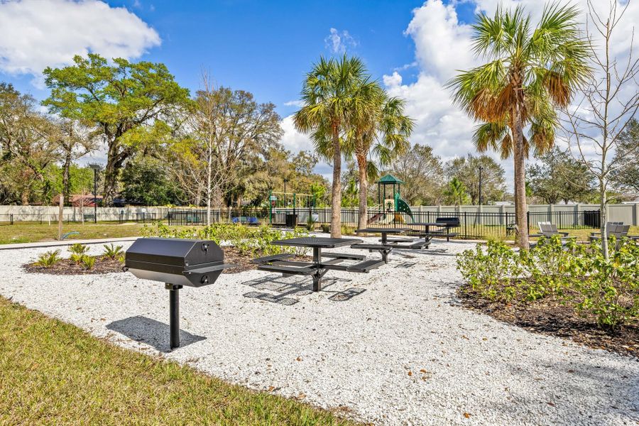 Community amenity available to residents of Vivir in Valrico (Image 13).
