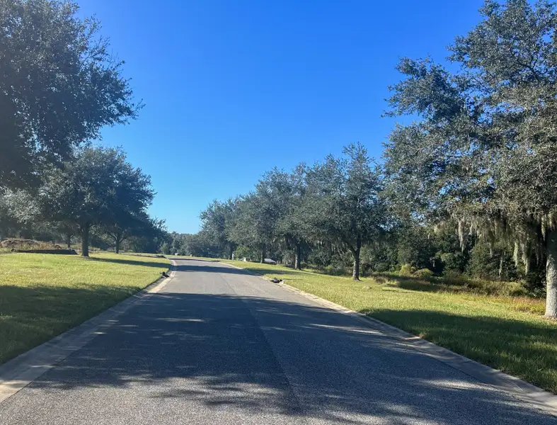 Natural surroundings and green spaces near Hill Country Estates in Dade City, FL (Image 13).