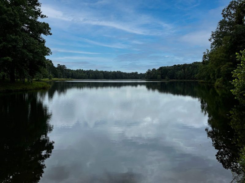 Shoreline view of the Big Lake