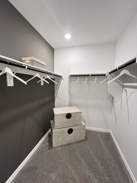 A spacious walk-in closet with sleek hanging rods, soft carpeting, and stylish storage boxes.