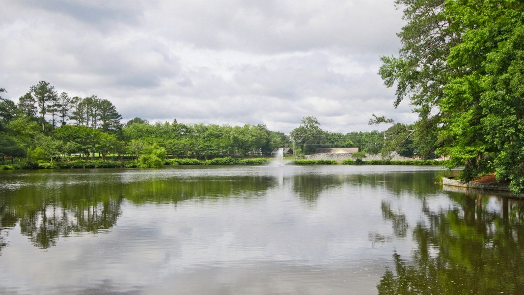 Natural surroundings and green spaces near Everson in Snellville, GA (Image 20). Natural surroundings and green spaces near Everson in Snellville, GA (Image 20).