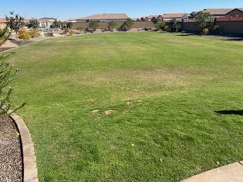 Expansive green park area in Tierra La Bella by KB Home, surrounded by homes in Phoenix, AZ.