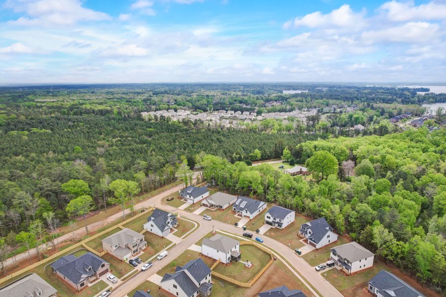 Collins Cove Aerial View