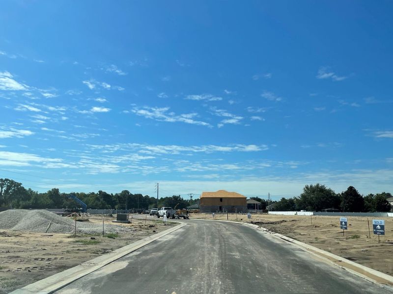 Image 19 of the Bartram's Landing at St. Johns community in Sanford, FL.