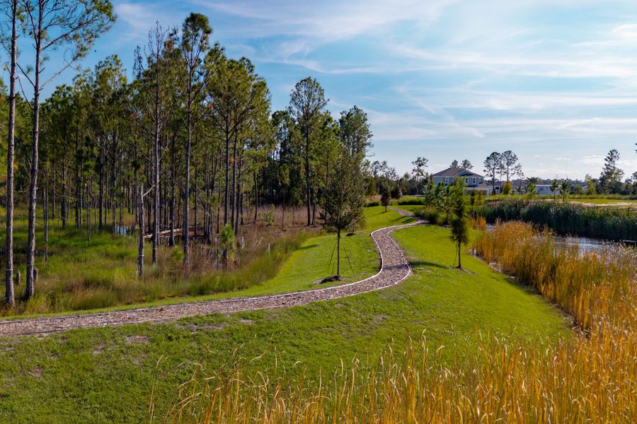 Trinity Gardens in DeLand, FL – New Home Community Surrounded by Nature