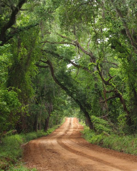 Image 7 of the GreyHawk: GreyHawk 40' Collection community in Middleburg, FL.