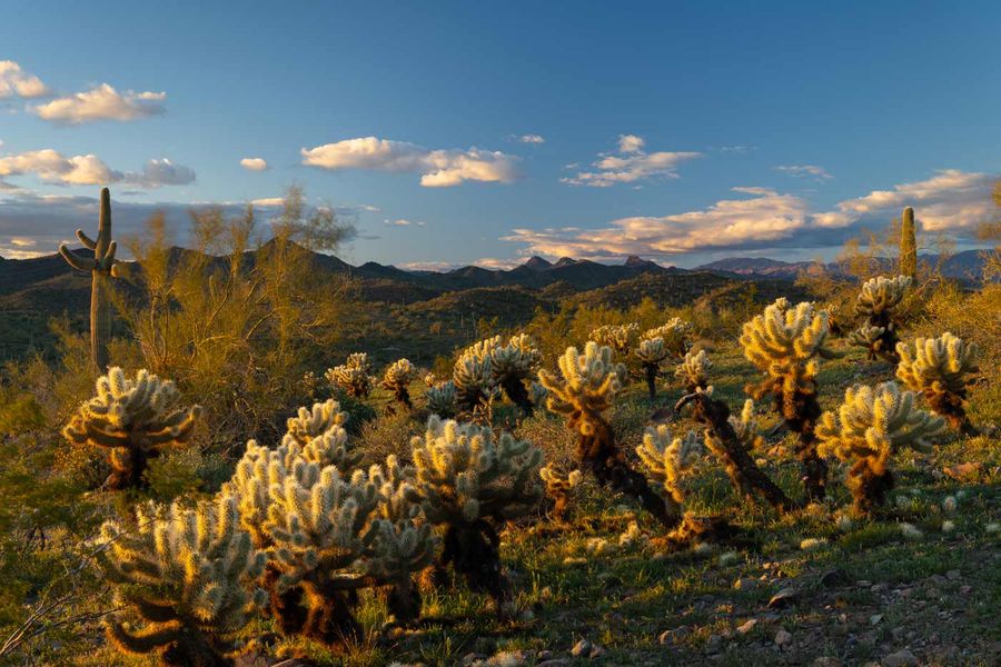 Natural surroundings and green spaces near Trailmark at Saddleback in Peoria, AZ (Image 8). Natural surroundings and green spaces near Trailmark at Saddleback in Peoria, AZ (Image 8).