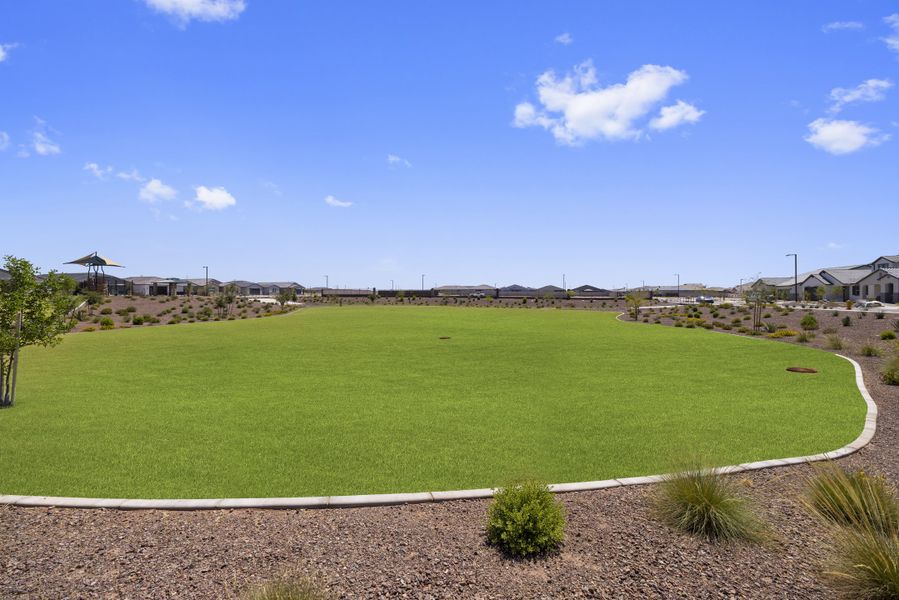 Grass field at El CIdro