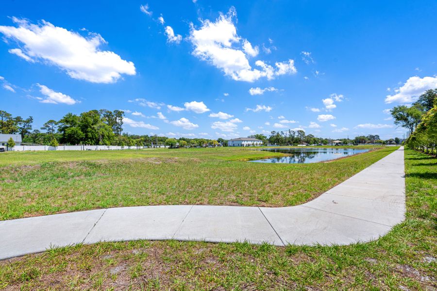 Natural surroundings and green spaces near Shenandoah Reserve in Orlando, FL (Image 45).