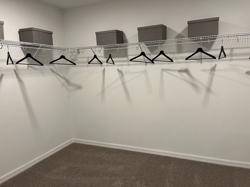 A spacious walk-in closet with wire shelving, ample storage, and carpeted flooring.