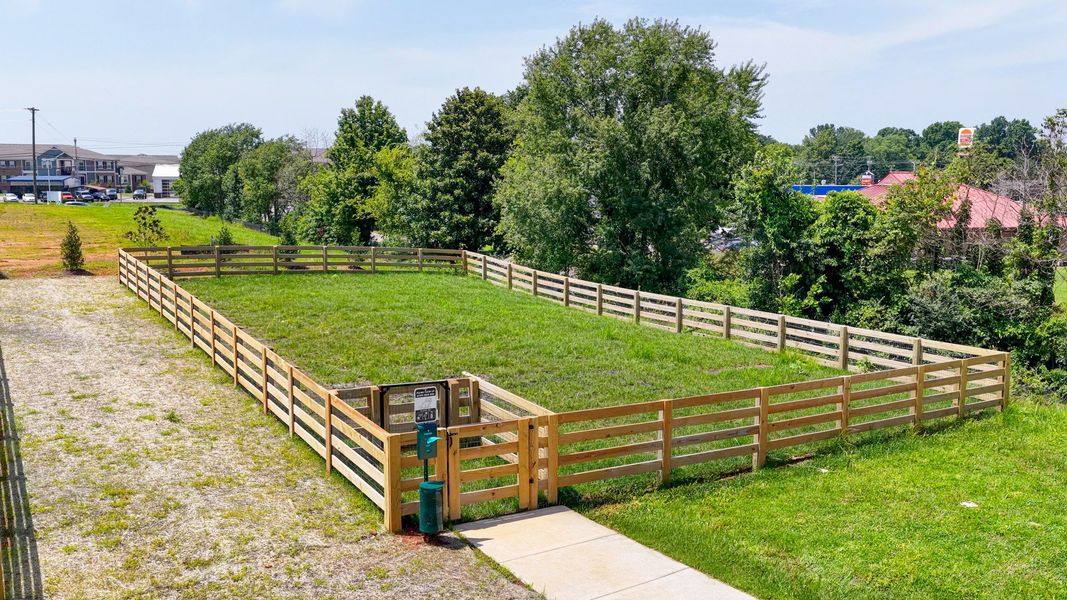 Enclosed grass area community dog park Enclosed grass area community dog park