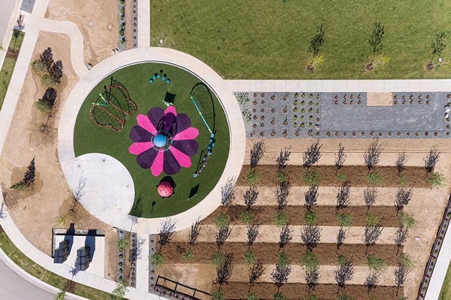 Community amenity available to residents of The Fairways at RainDance in Windsor (Image 44).