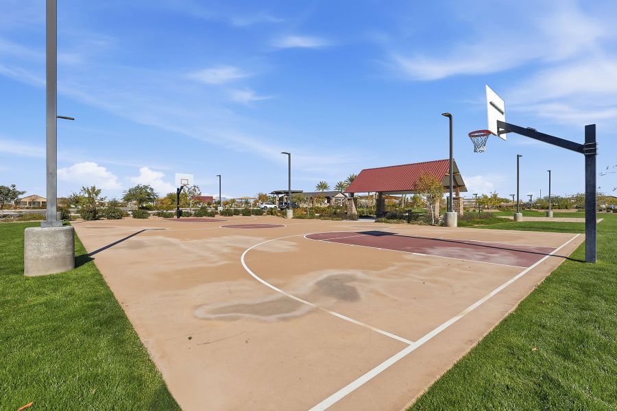 Community amenity available to residents of Bella Vista Farms in Queen Creek (Image 7). Community amenity available to residents of Bella Vista Farms in Queen Creek (Image 7).