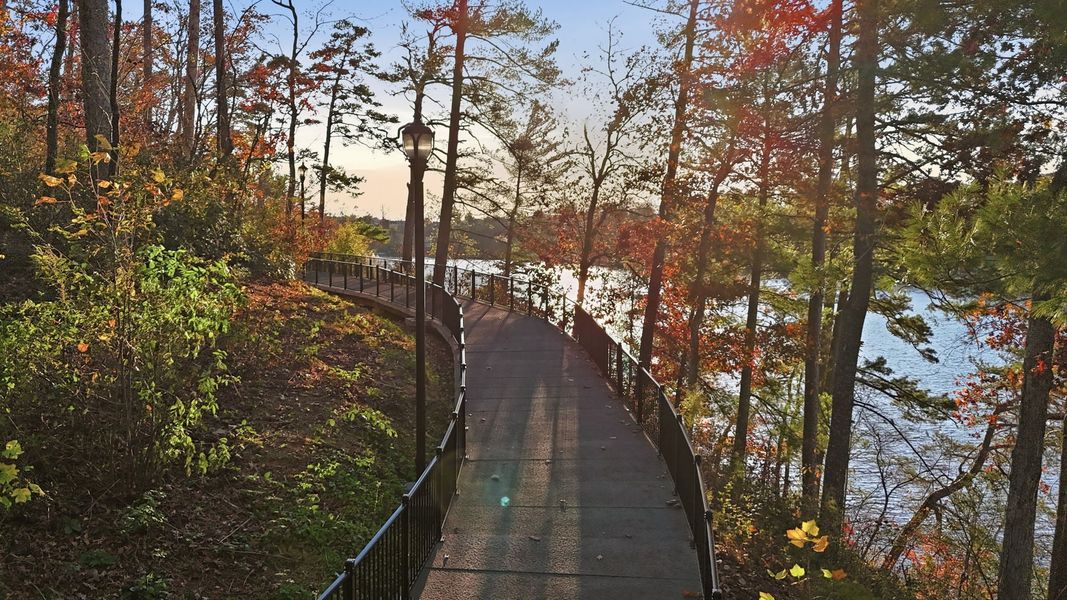 Natural surroundings and green spaces near Esplanade at Lake Hickory in Bethlehem, NC (Image 7).