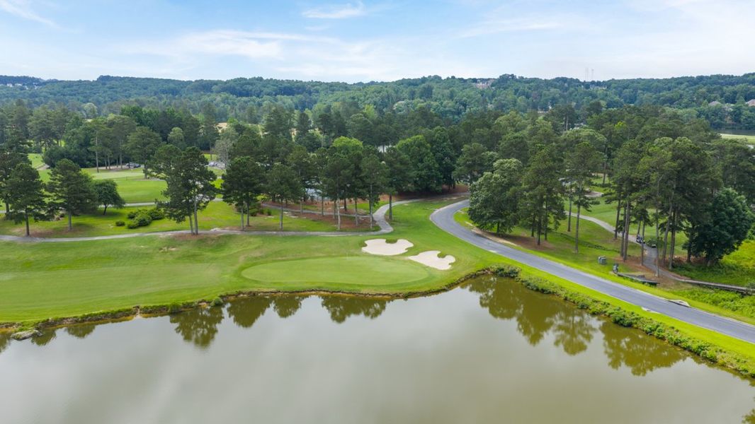 Natural surroundings and green spaces near Fairway 17 at Mirror Lake in Villa Rica, GA (Image 62).