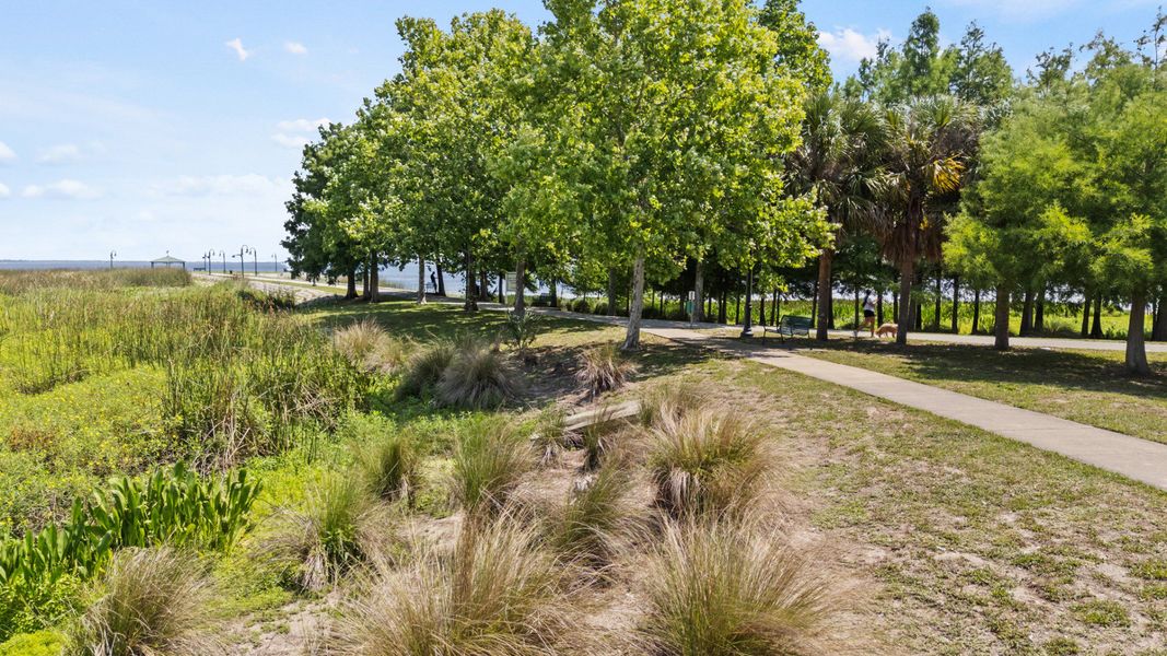 Lakefront Park on Lake Tohopekaliga in St. Cloud, FL offering scenic views and a peaceful walking path. Lakefront Park on Lake Tohopekaliga in St. Cloud, FL offering scenic views and a peaceful walking path.