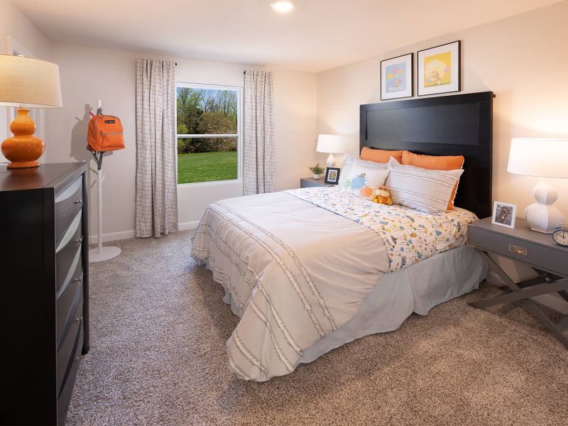 Welcome to the Johnson model at Collier Ridge.