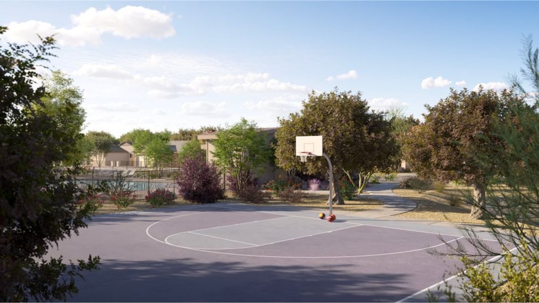 Basketball court surrounded by trees