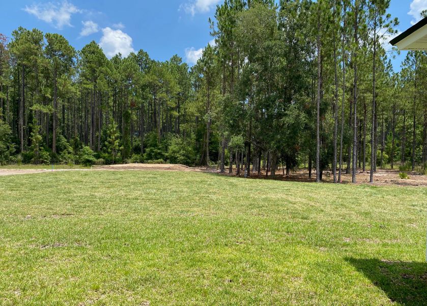 Natural surroundings and green spaces near Edwards Creek Estates in Jacksonville, FL (Image 28). Natural surroundings and green spaces near Edwards Creek Estates in Jacksonville, FL (Image 28).