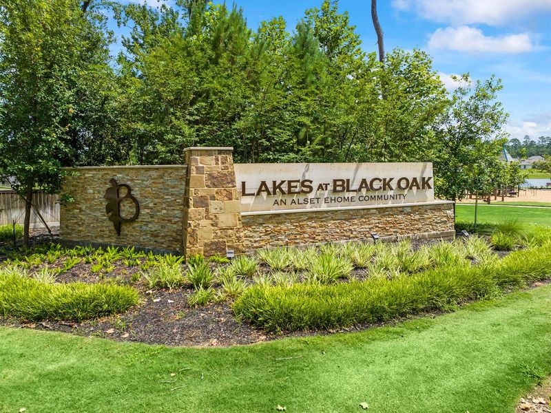 Entrance to the Lakes at Black Oak community in Magnolia, TX, featuring signage and landscaping (Image 2).