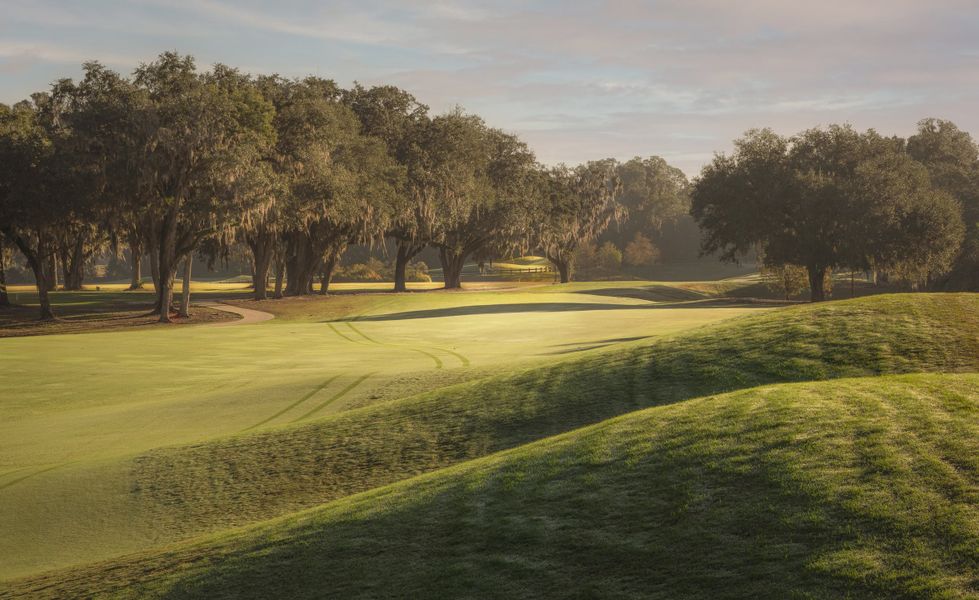 Natural surroundings and green spaces near IronCrest in Ocala, FL (Image 23).