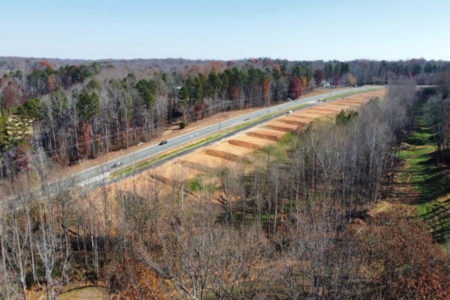 A road with trees on the side. A road with trees on the side.
