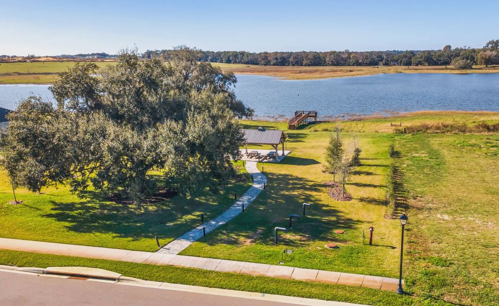Natural surroundings and green spaces near West Hill Estates in Dade City, FL (Image 22).