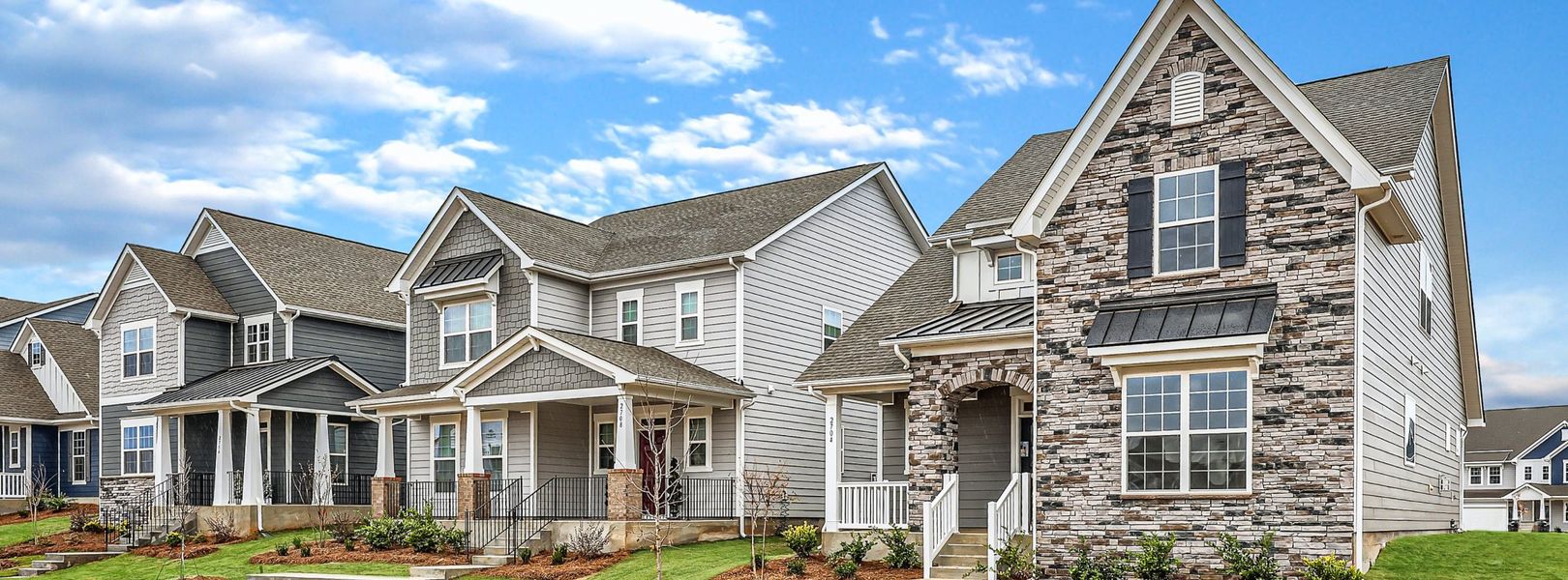 Elizabeth Arbor Elizabeth Arbor