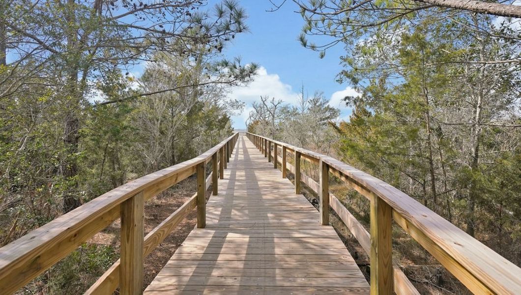 Natural surroundings and green spaces near The Preserve at Tidewater in Sneads Ferry, NC (Image 23).