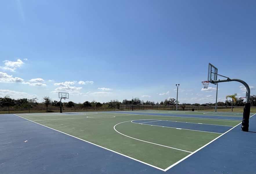 A spacious basketball court with professional markings and scenic surroundings in Avian Pointe Townhomes by D.R. Horton (Apopka, FL).